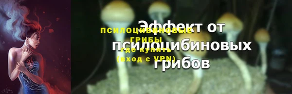 ПСИЛОЦИБИНОВЫЕ ГРИБЫ Волоколамск