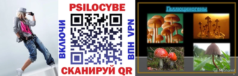 Галлюциногенные грибы Psilocybine cubensis  Павловский Посад 