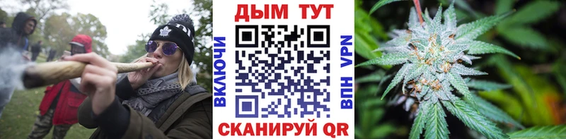 сколько стоит  Павловский Посад  Бошки марихуана SATIVA & INDICA 